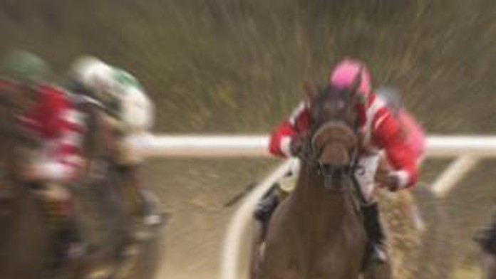 Obálka knihy Favorit.