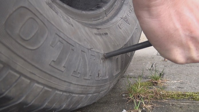 hydinari_tvnoviny.mp4