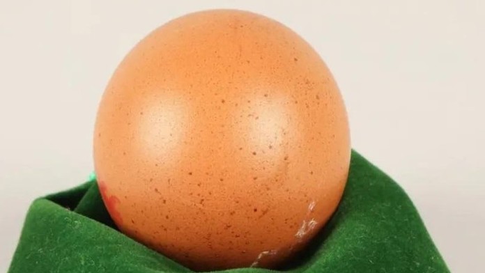 Rarita za poriadny balík. V Británii vydražili takmer dokonale okrúhle vajce