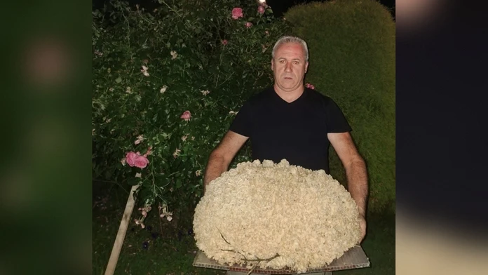 Išiel na ryby, vrátil sa s gigantickou vzácnou hubou. Josef prekonal národný rekord