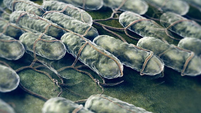 Ilustračná snímka.