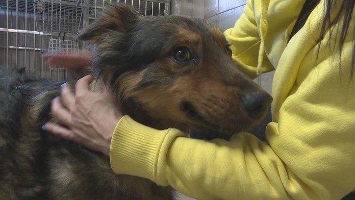 Bojovali, aby prežili.