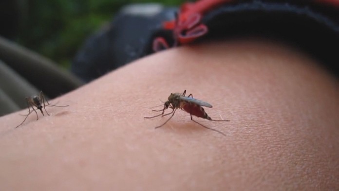 politickamapa_tvnoviny.mp4