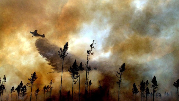 Lesný požiar (ilustračná snímka)