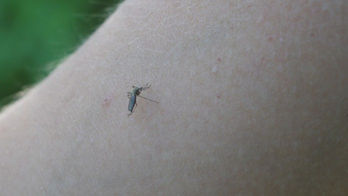 Ilustračná snímka.