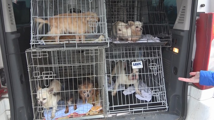 Ilustračná snímka.