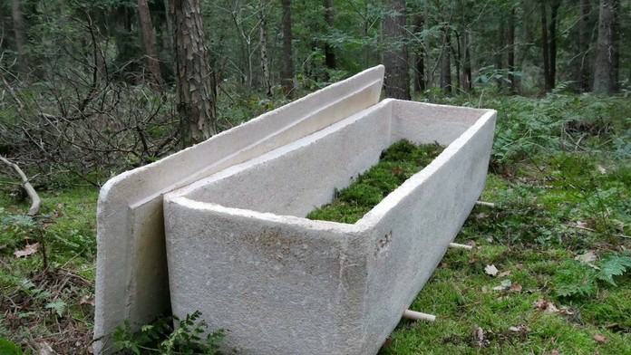 Živá truhla je populárna v Holandsku