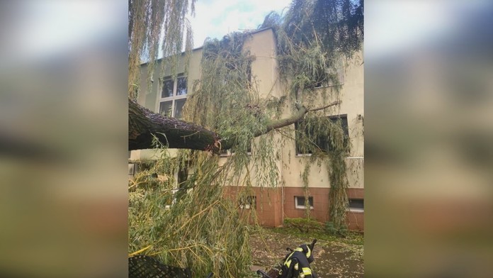 Kauza okolo Moniky Jankovskej