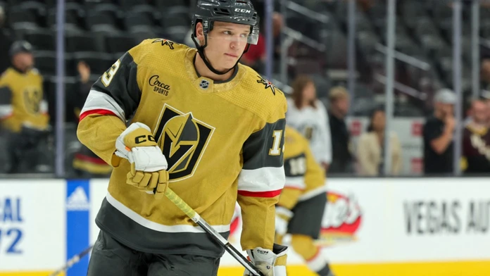 Slovenského útočníka opäť povolali do NHL. Môže zažiť debut v profilige