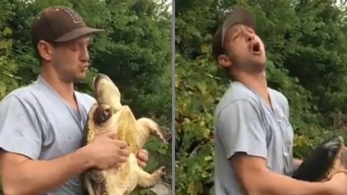 Bozk od korytnačky.