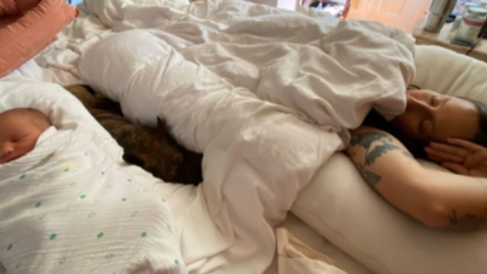 Oteckovia ako Severus Snape, Voldemort, Harry Potter a Dumbledore