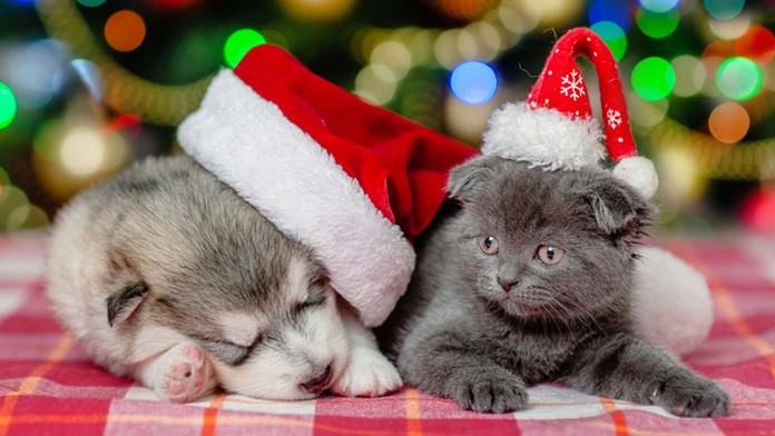 Ilustračná snímka.