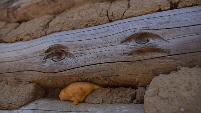 Zjavenie v osade Čirč.