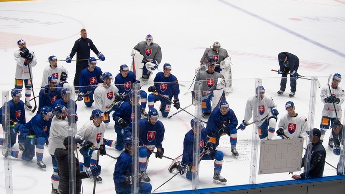 Na snímke slovenskí hokejisti 