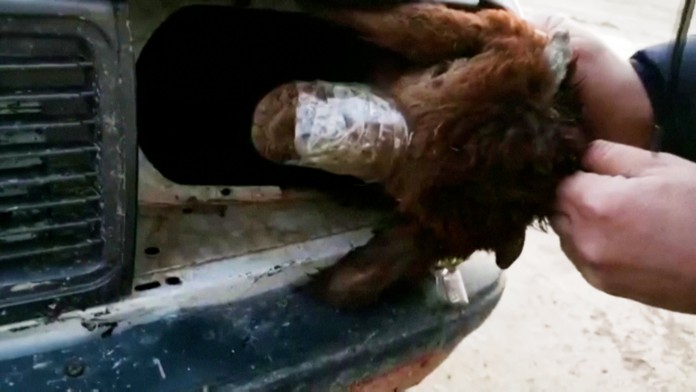 Adriana s expriateľom