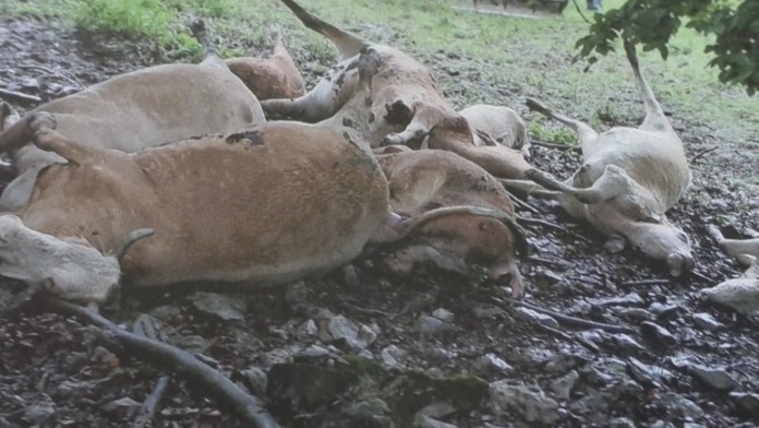 Ilustračná snímka.