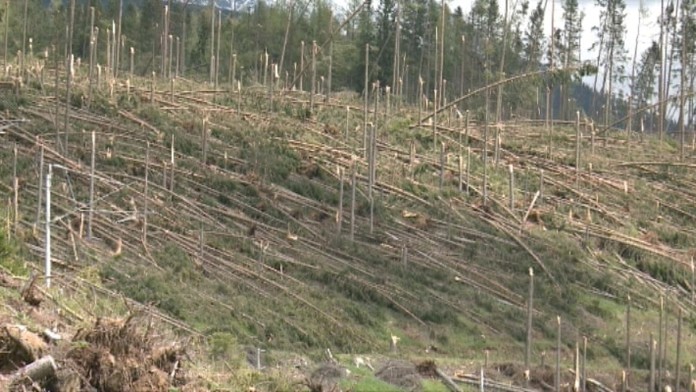 Letecké zábery po víchrici vo Vysokých Tatrách