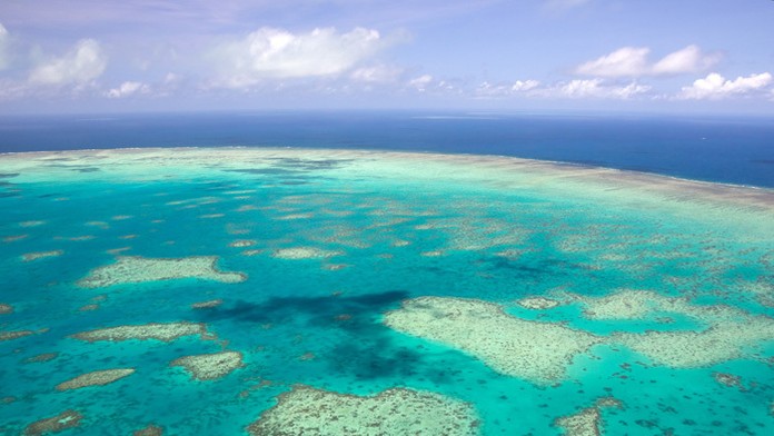 Veľká koralová bariéra.