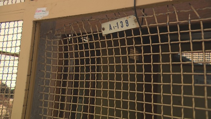 V tomto výťahu sa stalo nešťastie.