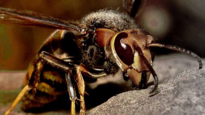 Ilustračná snímka.