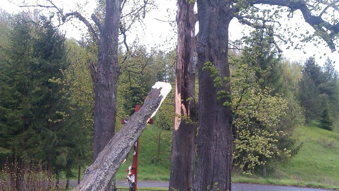 Spadnutý strom na kríž