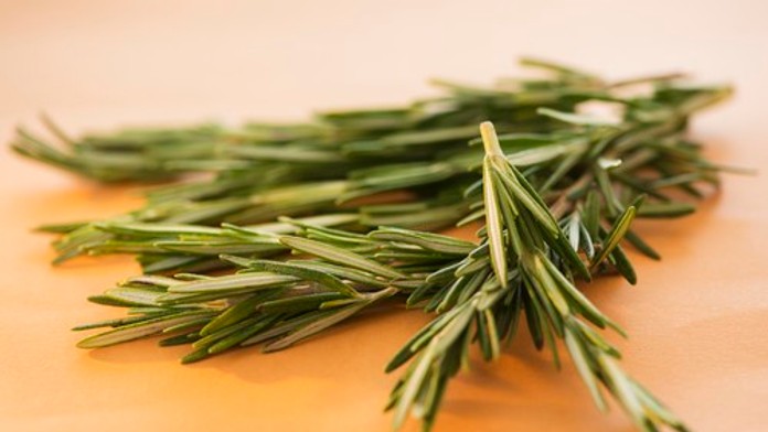 Aromatická bylinka môže pomôcť pri liečbe Alzheimera. Vedcov prekvapil nový objav