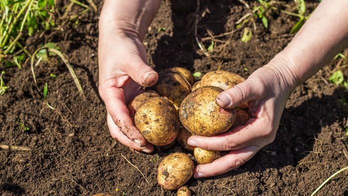 Ilustračná snímka.