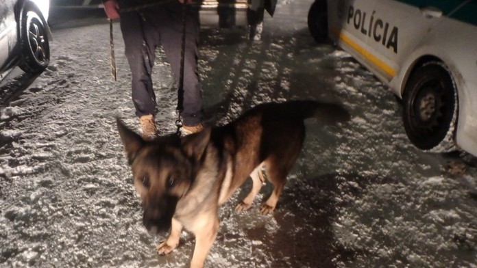 Juraj Lettrich po pojednávaní v prípade platinových sít.