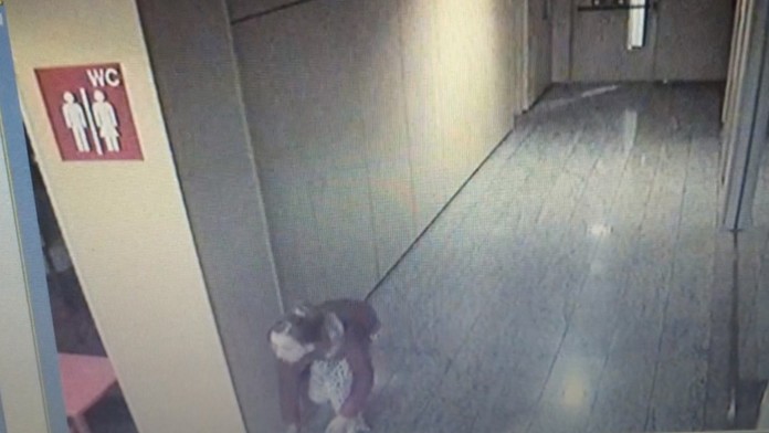 Zlodejka bonsajov v nákupnom centre