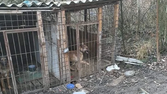Moja malá princezná