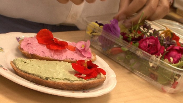 Milujete kvety Skúste ich aj jesť