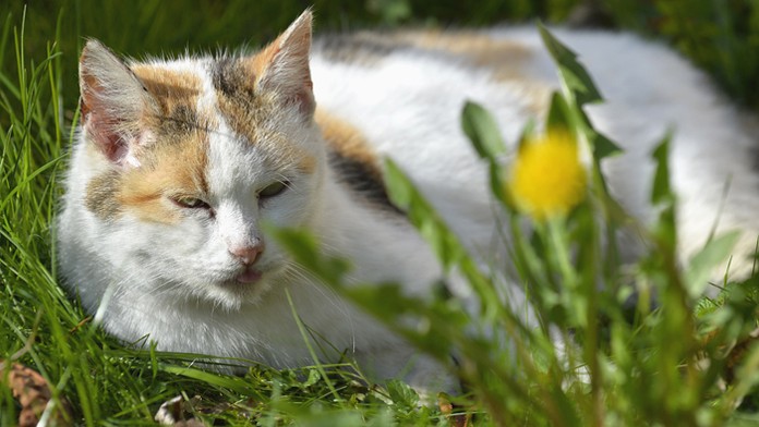 Ilustračná snímka.