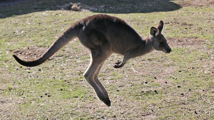 Ilustračná snímka.