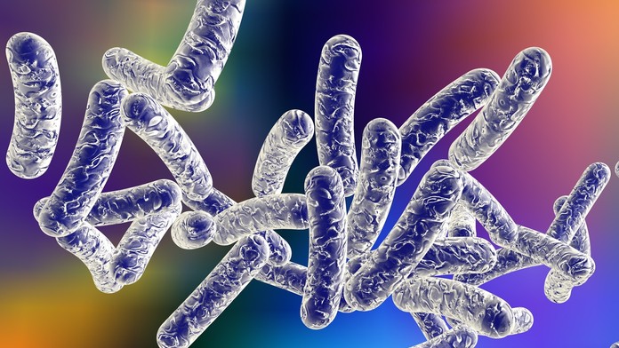 Legionárska choroba- baktérie.