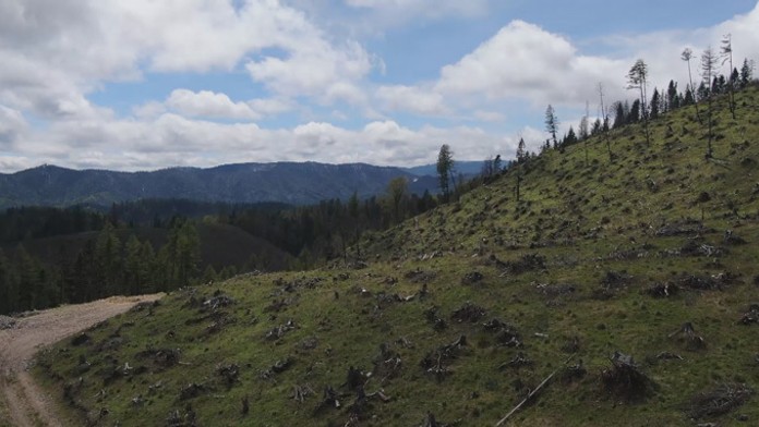 Obrovský portrét Bašára Asada v centre Aleppa.