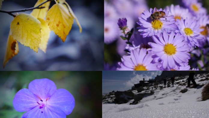 Počasie Tatry_edited-1.jpg