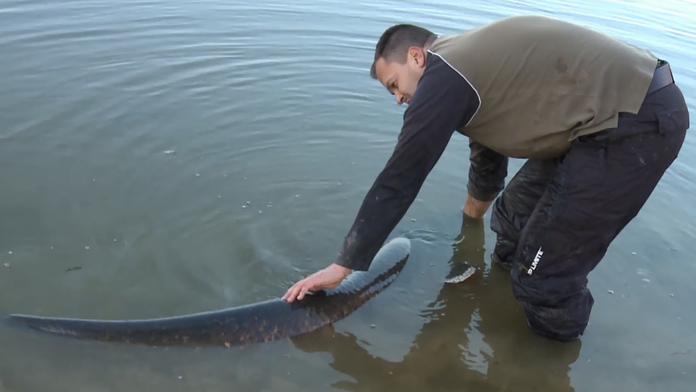 Rybár môže byť právom hrdá. 