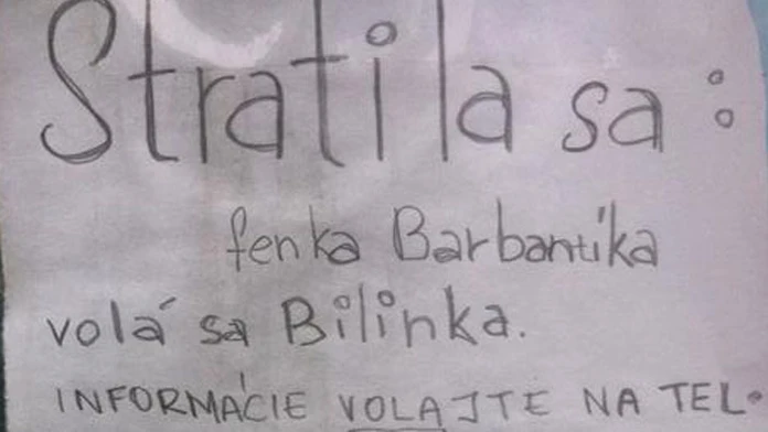 bra.jpg