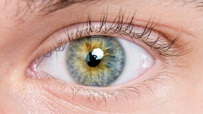 Vedci zachytili prvý náznak Parkinsonovej choroby. Objaví sa sedem rokov pred jej vypuknutím