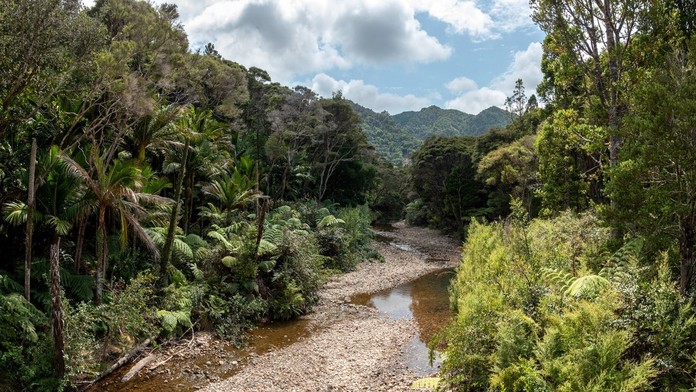 V kopcoch Nového Zélandu našli telo mladej Češky. Polícia už vie, čo bolo príčinou smrti, no nepozná okolnosti
