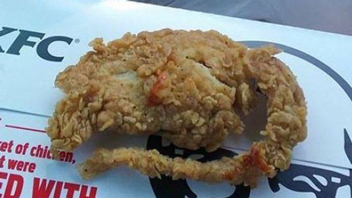 Fotka pobúrila verejnosť. Vypražili v reštaurácií potkana?