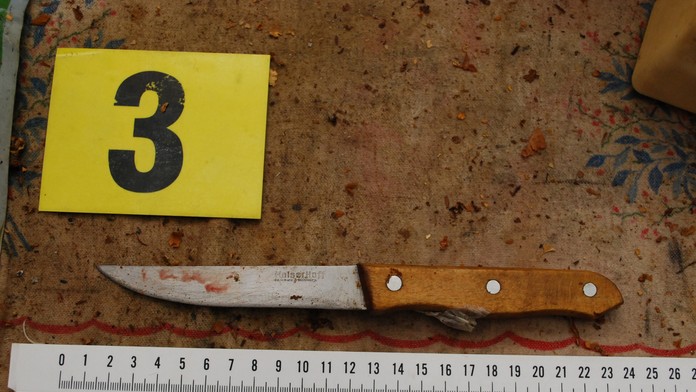 Pokus o vraždu v obci Stránska.