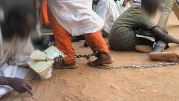 Patracka_tvnoviny.mp4