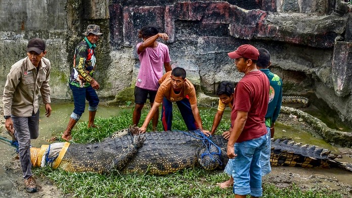 VIDEO: Hororový incident na exotickom ostrove. Ženu stiahol do mora obrovský krokodíl, potom sa vrátil s jej telom