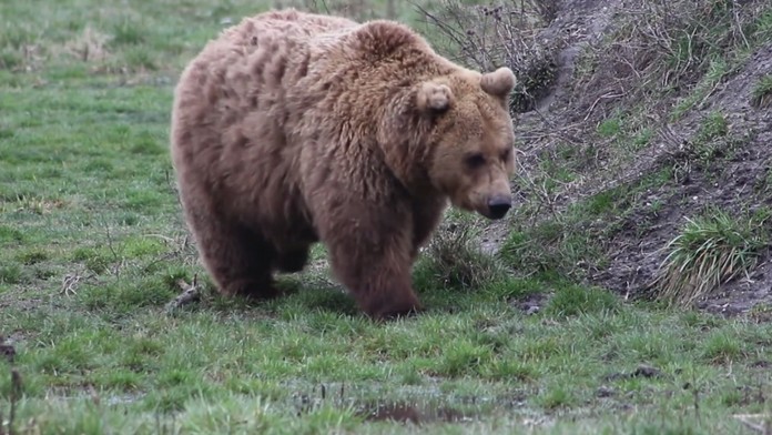 Ilustračná snímka