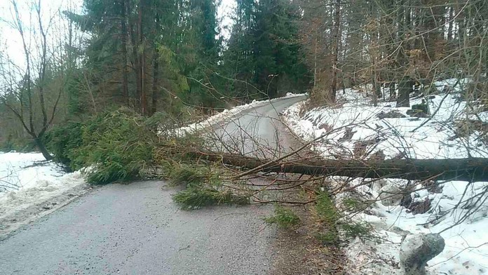 Spadnutý strom na ceste v Čadci u Krkošky.