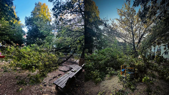 Horor v bratislavskom Ružinove: Na deti na ihrisku sa zrútila časť mohutného stromu