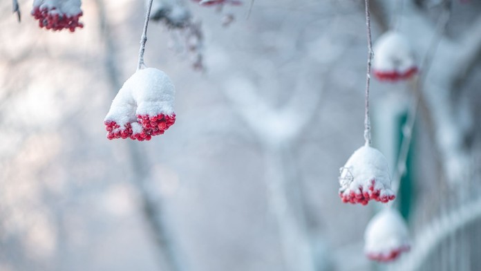 V nedeľu cez deň môže pocitová teplota dosiahnuť až – 15 °C. SHMÚ zverejnil, kde bude najchladnejšie