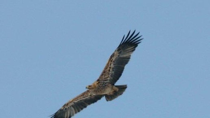 Spoločná fotka s bratrancom.