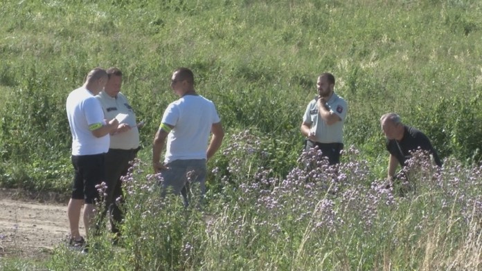 choroba nadmorska_tvnoviny.mp4